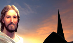 DESDE LA REALIDAD, VIDEOS