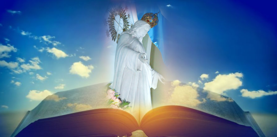 HIJAS DE NUESTRA SEÑORA DE LAS MISERICORDIAS